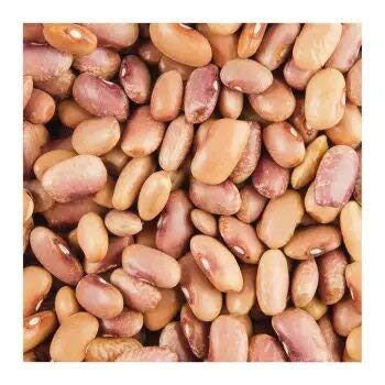 Verde - Frijol Flor de Mayo. 2.5 kg