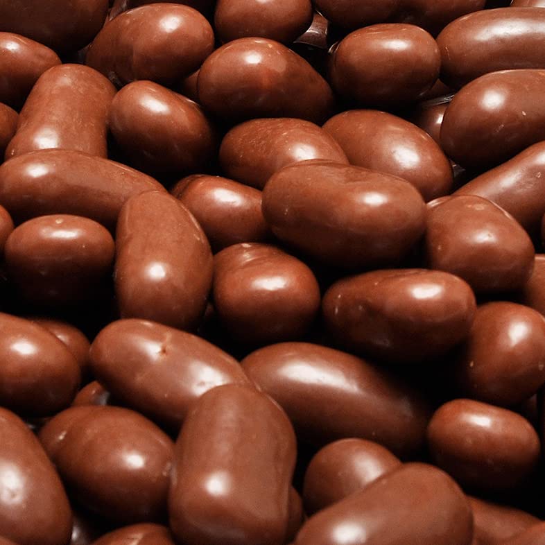 Galleta Fass Chocolate, Bolsa con 500 G