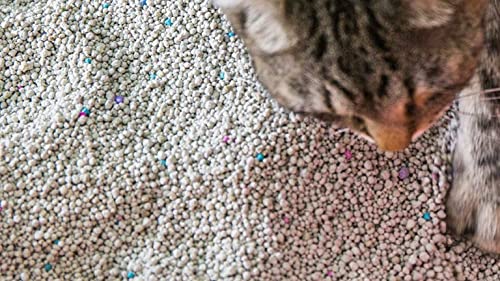 Scoop Away - Scoop Away - Arena para gatos Multicat Complete Performance, 42 libras