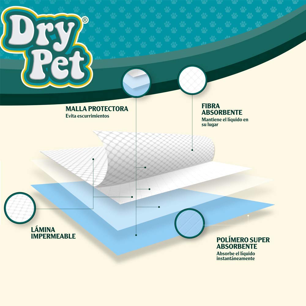 Dry Pet TAPETE Entrenador para Perro
