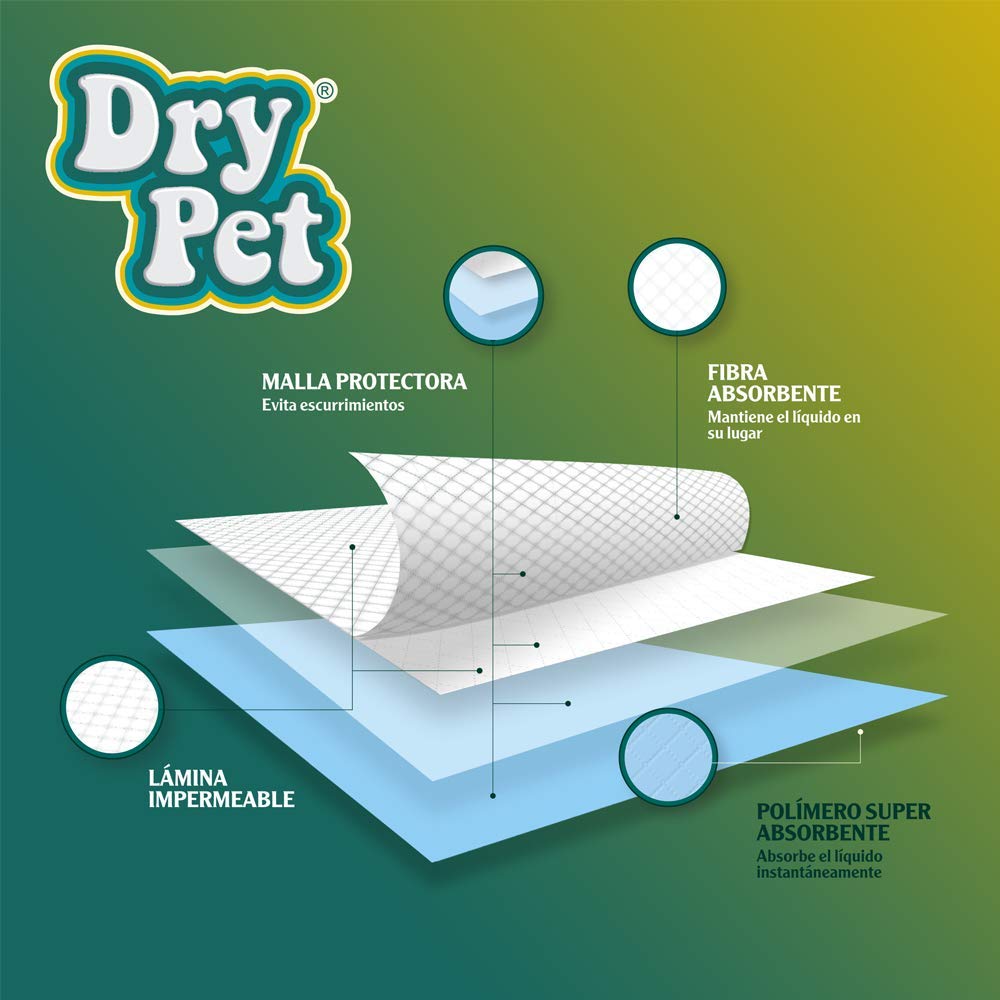 Dry Pet TAPETE Entrenador para Perro