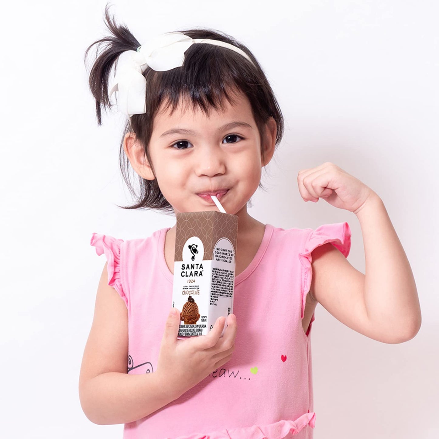 Santa Clara 27 Pack Leche Sabor Helado de Chocolate 180 ml cada uno.