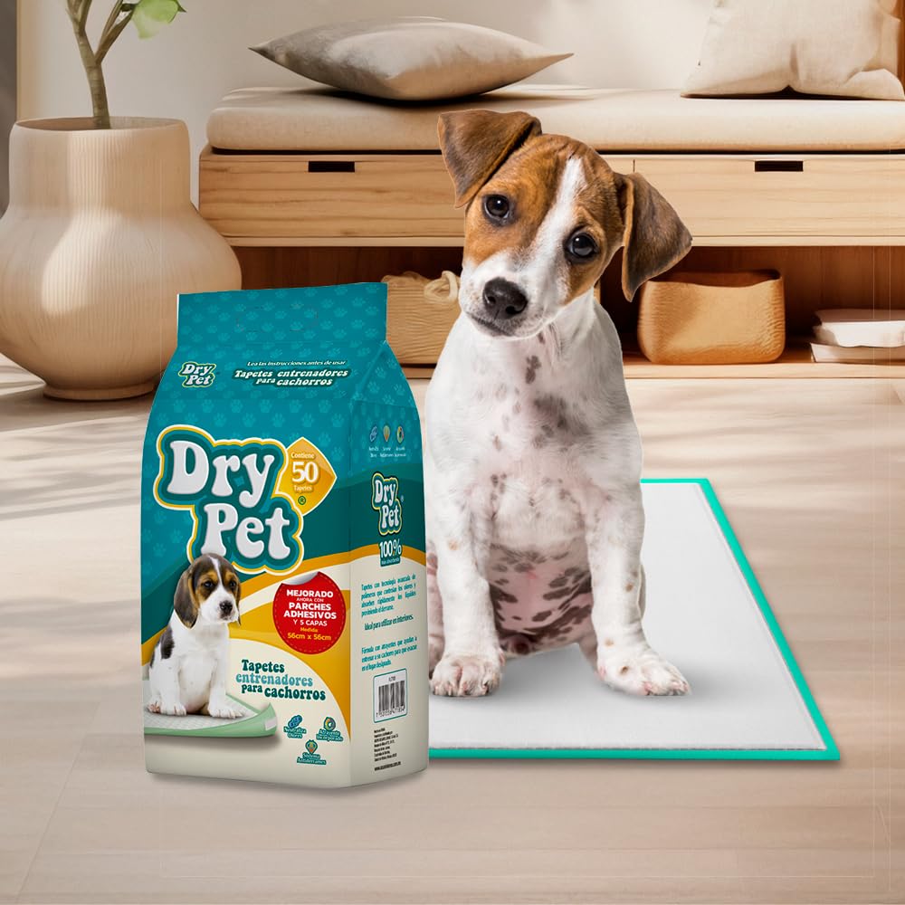 Dry Pet TAPETE Entrenador para Perro