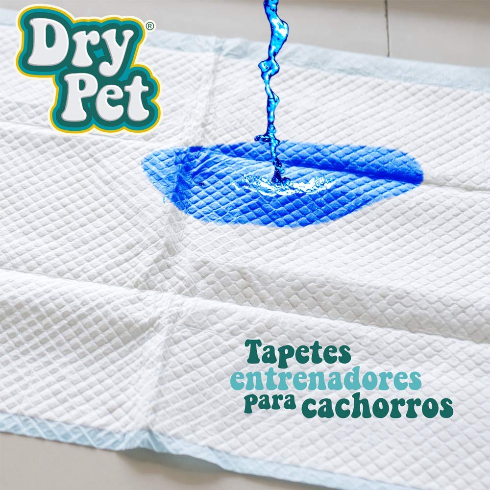 Dry Pet TAPETE Entrenador para Perro