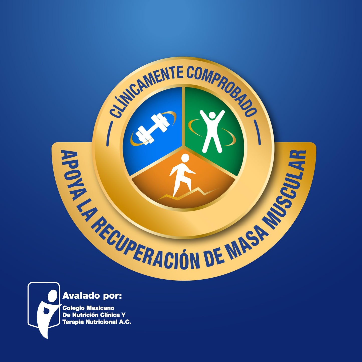 Ensure Advance - en Polvo 400g, Sabor Fresa, Fuente de Proteínas y Nutrición Completa para Adultos, Clínicamente Probado