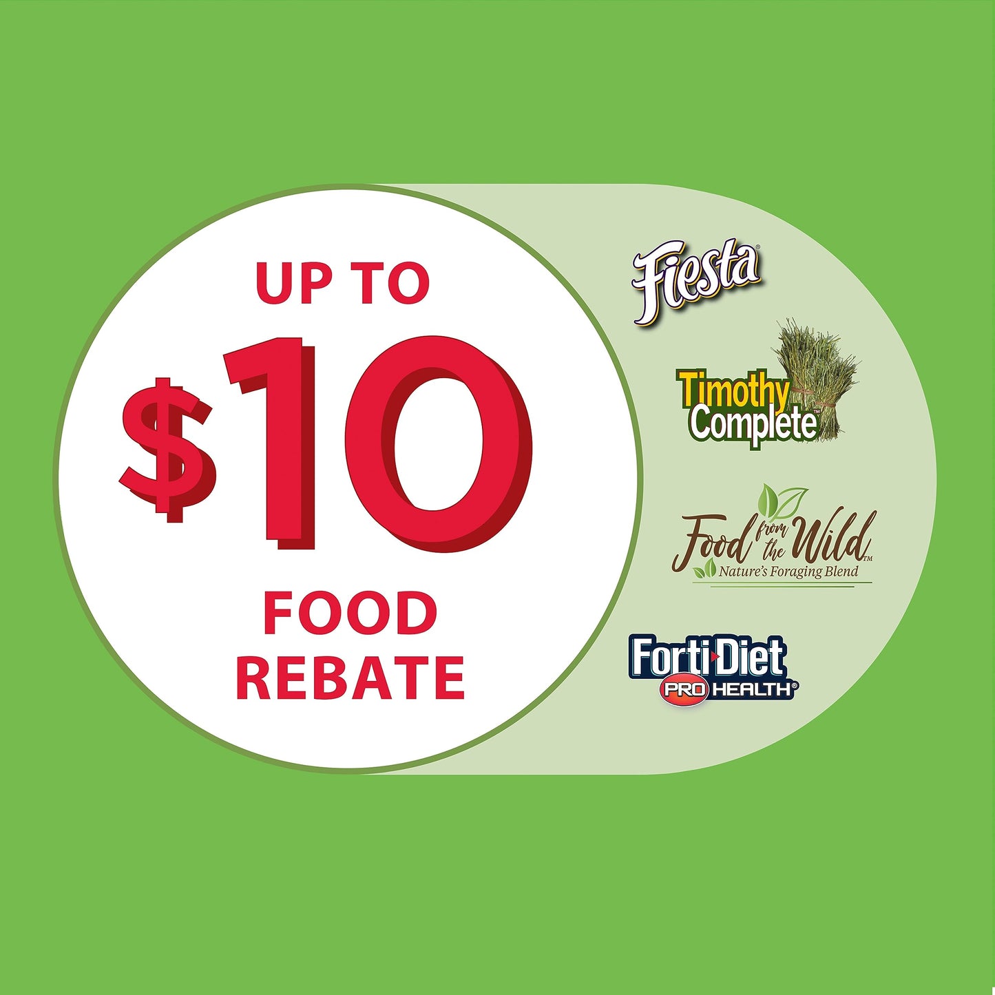 Kaytee My First Home Rabbit - Kit de iniciación