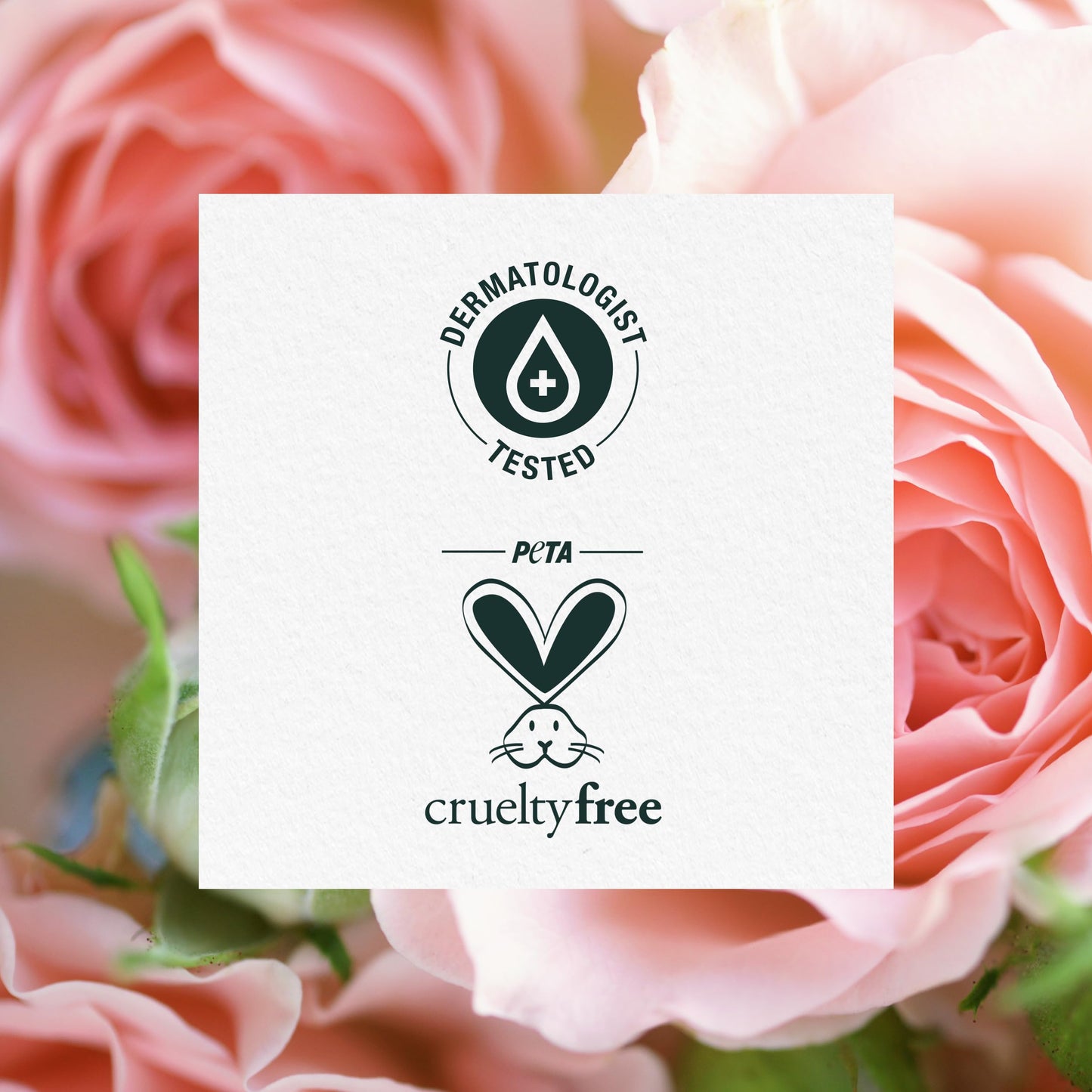 Herbal Essences Smooth collection conditioner, 29.2 fl oz, 29.2 Fl Oz