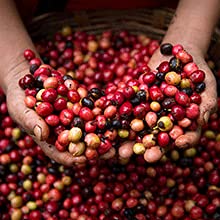 Nescafe - Nescafé - Café Soluble Nescafé Reserva Mexicana 2 piezas de 180g