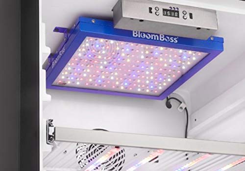 DeLonghi Calentador de radiador con relleno de aceite, calentador eléctrico de 1500 W para uso en interiores, calentador de habitación portátil silencioso, 1500 W, ahorro de energía, habitación completa, oficina y recámara con características de seguridad