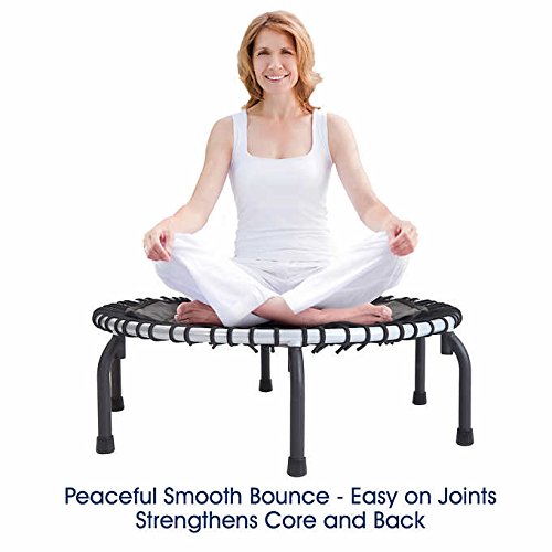 Desconocido - JumpSport 350i Fitness Trampoline Incluye Ejercicio ajustable manubrio, 4-in-1 DVD de fitness y Workout – DVD de 3-in-1, cuerpo perfecto para el work-outs. (Negro)