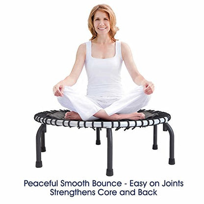 Desconocido - JumpSport 350i Fitness Trampoline Incluye Ejercicio ajustable manubrio, 4-in-1 DVD de fitness y Workout – DVD de 3-in-1, cuerpo perfecto para el work-outs. (Negro)