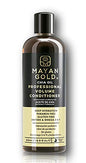 MAYAN GOLD - Chia Oil Professional Vollume Control Moisturising Conditioner with Antioxidants and Omega 3 6 9 for Healthy Hair, 16.9 fl oz (500ml)