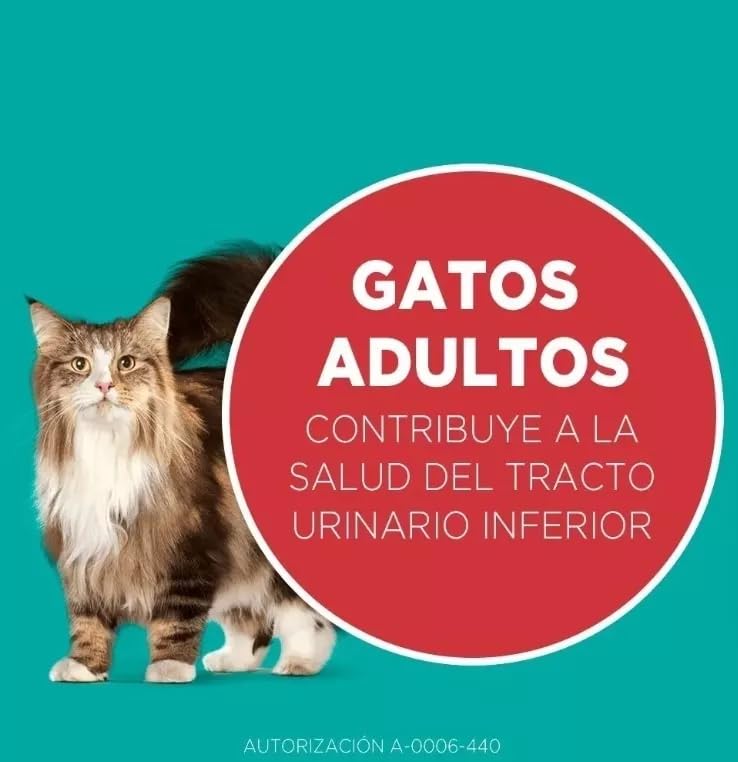 Purina Alimento para Gato Adulto One Visible Nutrition 7 Kg Sabor Pollo Y Salmon Alimento Super Premium