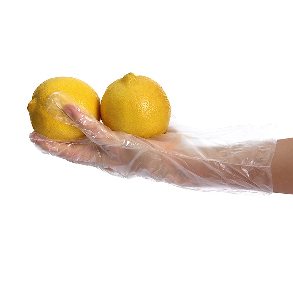 Cadeglove - Cadeglove | 1000 Guantes Desechables Degradables