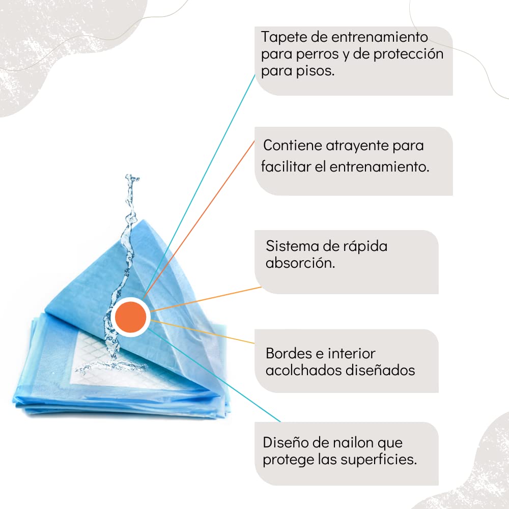 Dry Pet TAPETE Entrenador para Perro