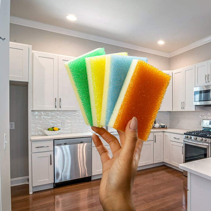 SPONGE DADDY (Fibra + Esponja)