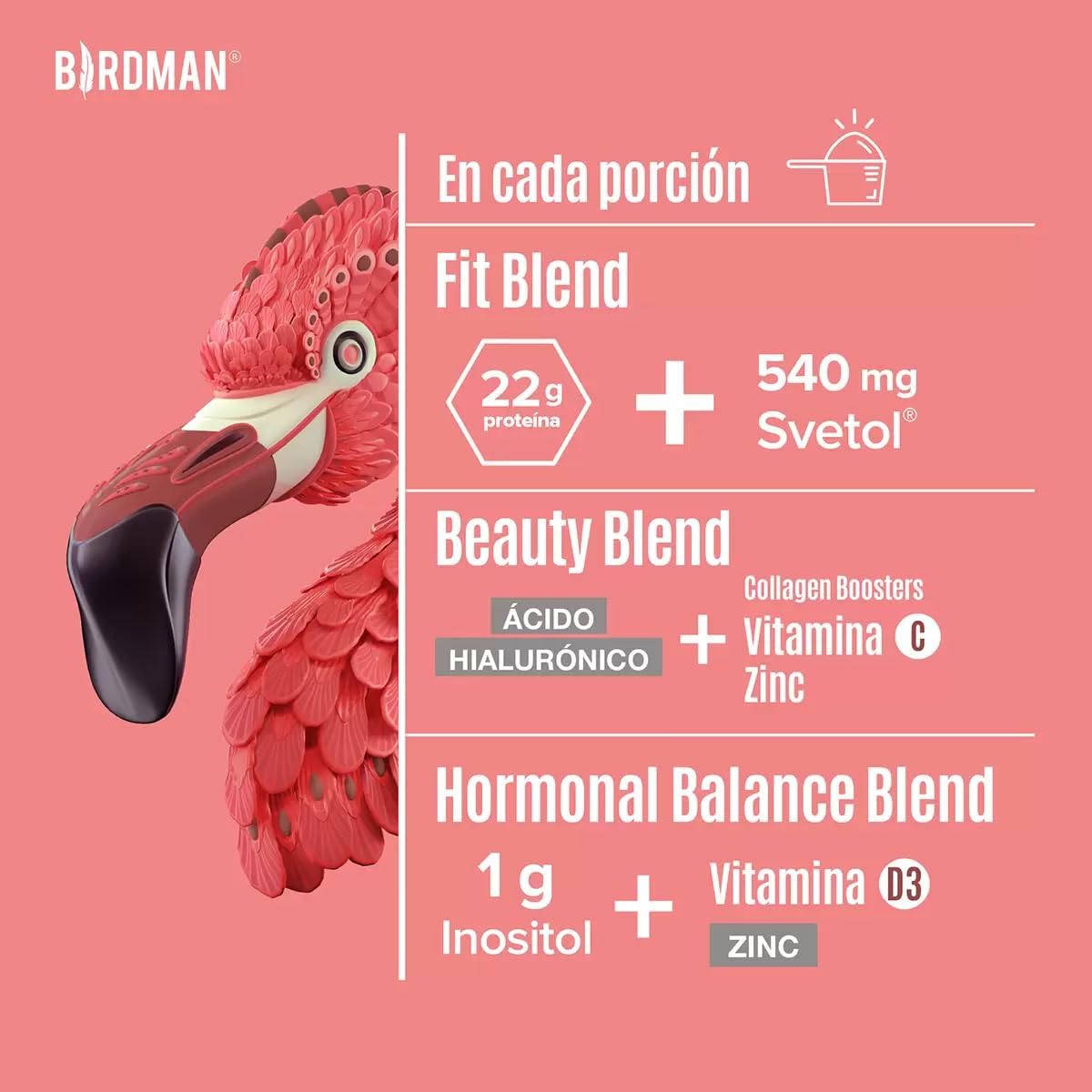 Birdman Fitmingo Proteina Vegana Suplemento Alimenticio a Base de Proteina Vegetal Sabor Moka 1.496 kg