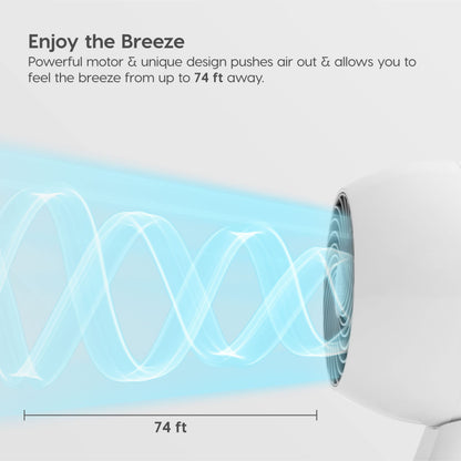 Woozoo HD18U Whole Room Oscillating Circulating Fan, White