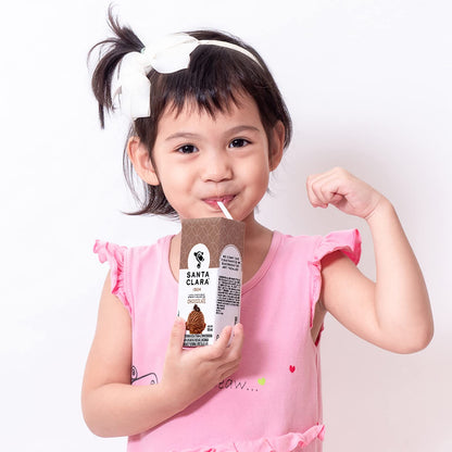 Leche Santa Clara sabor Helado 250ml