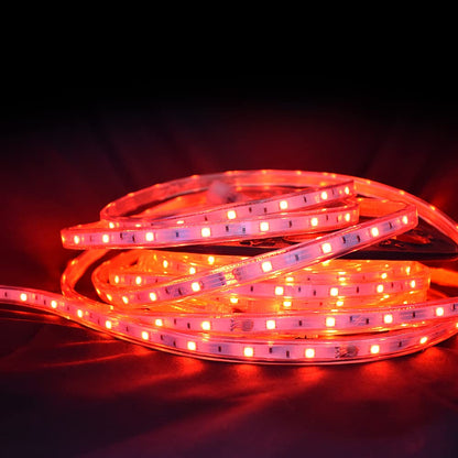 Tecnolite - Tecnolite aplicaciones- Tlapps Manguera plana RGB 10 metros