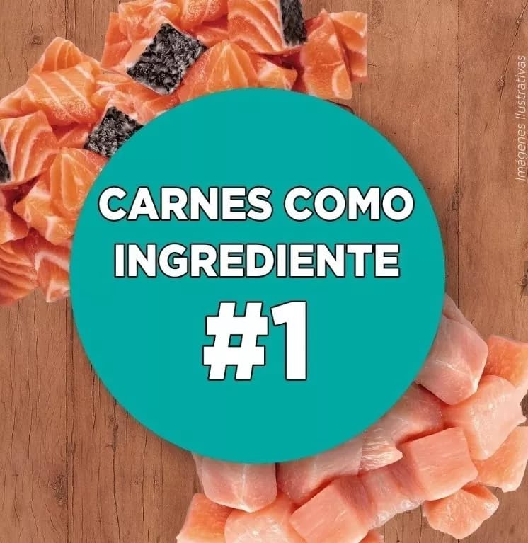 Purina Alimento para Gato Adulto One Visible Nutrition 7 Kg Sabor Pollo Y Salmon Alimento Super Premium