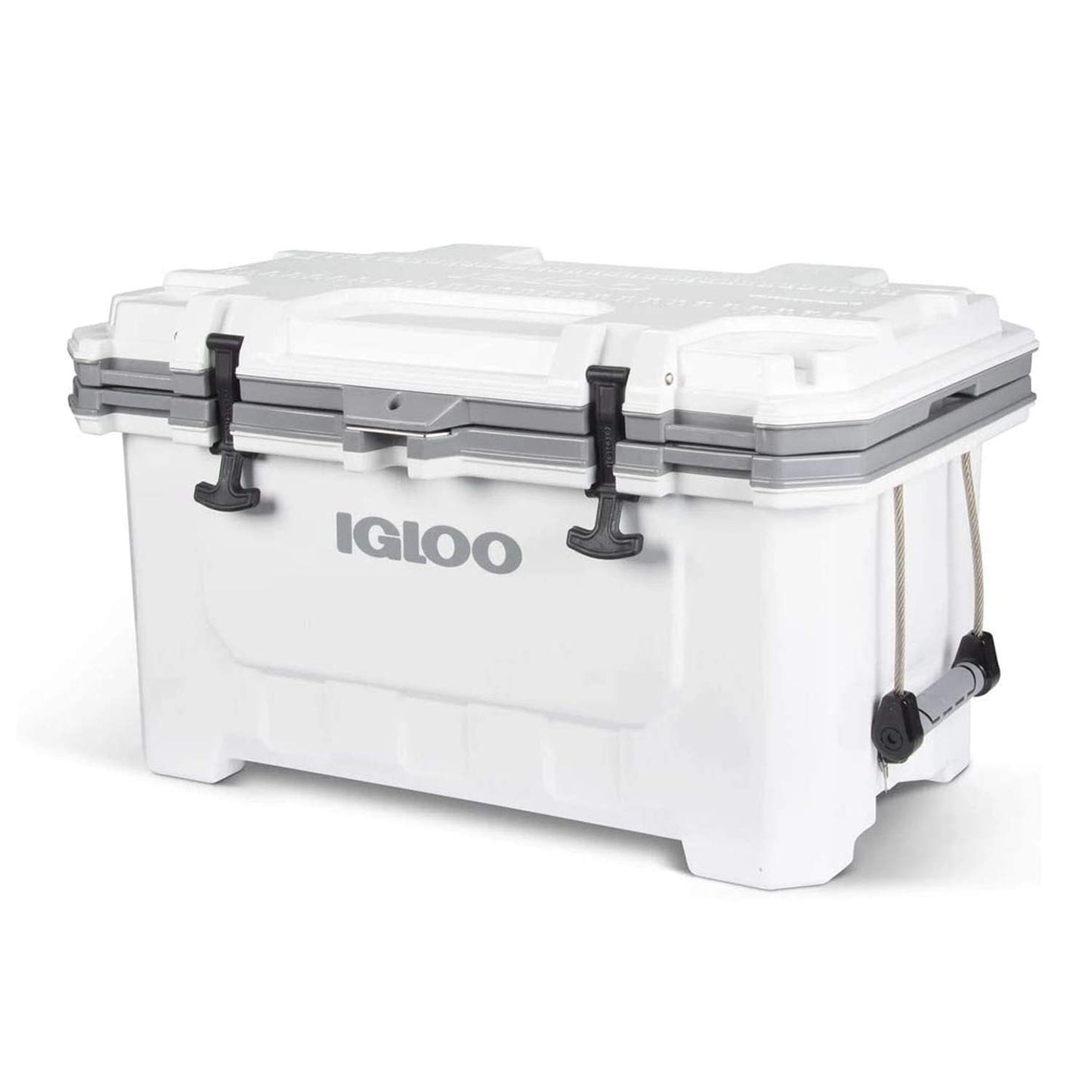 IGLOO - IGLOO IMX Nevera Outdoor, Blanco, 67 litros