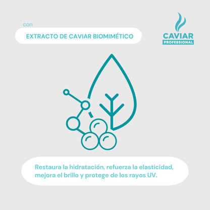 Caviar Professional, Shampoo sin sulfatos y parabenos, Duo shampoo matizador, Reparación total con extracto de caviar negro, Ecológico y Cruelty free