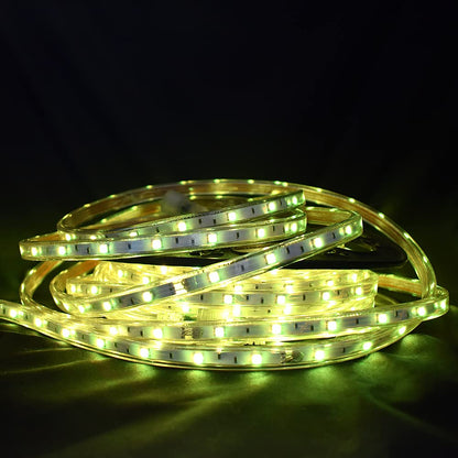 Tecnolite - Tecnolite aplicaciones- Tlapps Manguera plana RGB 10 metros