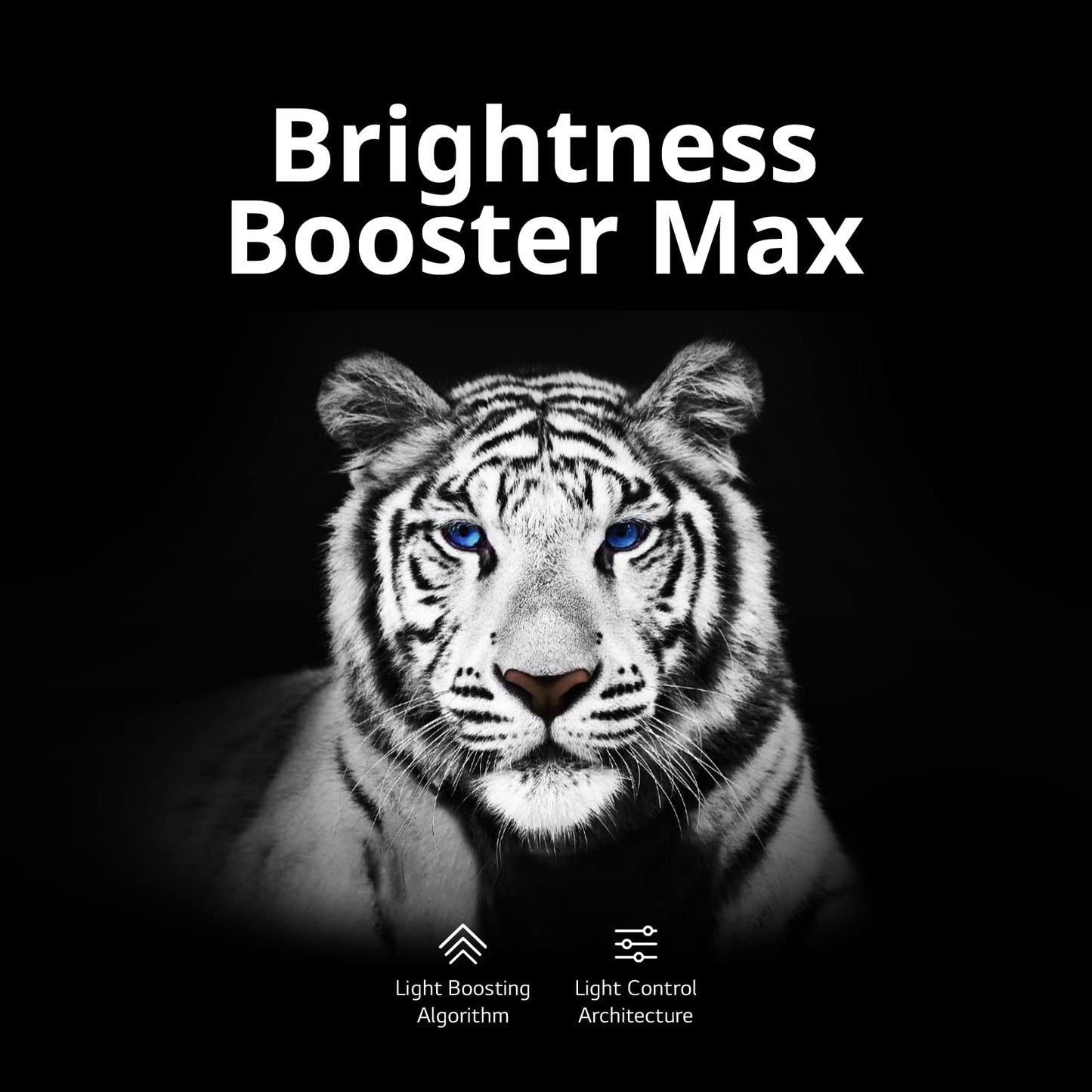 LG G3 Series 55 Pulgadas Clase OLED EVO 4K Procesador Smart TV de visualización Plana para Juegos con Magic Remote AI-Powered Gallery Edition OLED55G3PUA, 2023 con Alexa Incorporado