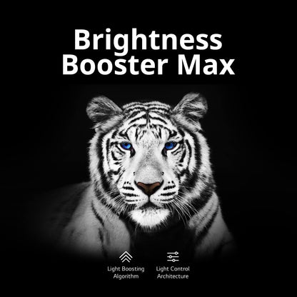 LG G3 Series 65 Pulgadas Clase OLED EVO 4K Procesador Smart TV de visualización Plana para Juegos con Magic Remote AI-Powered Gallery Edition OLED65G3PUA, 2023 con Alexa Incorporado