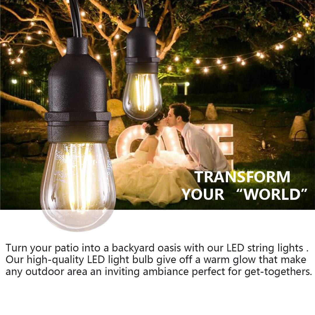 BRIGHTSHOW - Techo 48FT LED Luces de cadena al aire libre Impermeable Regulable 15PCS 2W Vintage Edison Bulbos de vidrio