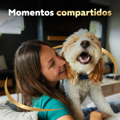 Cesar Alimento para Perro sobre Sabor