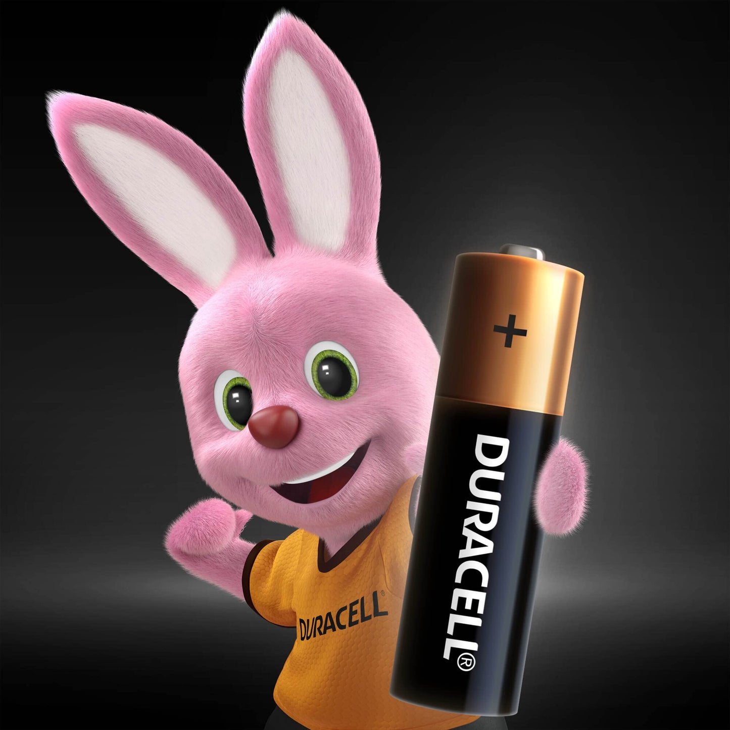 DURACELL - Pilas AA alcalinas, baterías AA de larga duración 1.5V, caja con 6 paquetes de 5 pilas, total 30 pilas