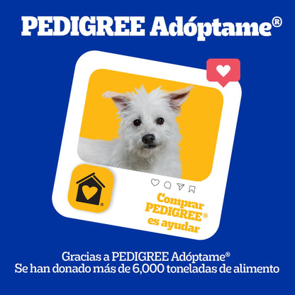 Pedigree - Croquetas para Perro 10 kg, on Res y Vegetales, Razas Pequeñas y Minis, con Proteína, Fibra y Antioxidantes