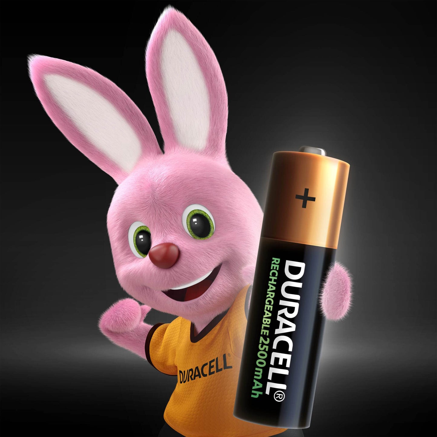 Duracell Pilas AA Recargables NiMH 2500mAh 1.2V, Baterías de Alta Capacidad Pre-cargadas, Paquete de 6 Pilas