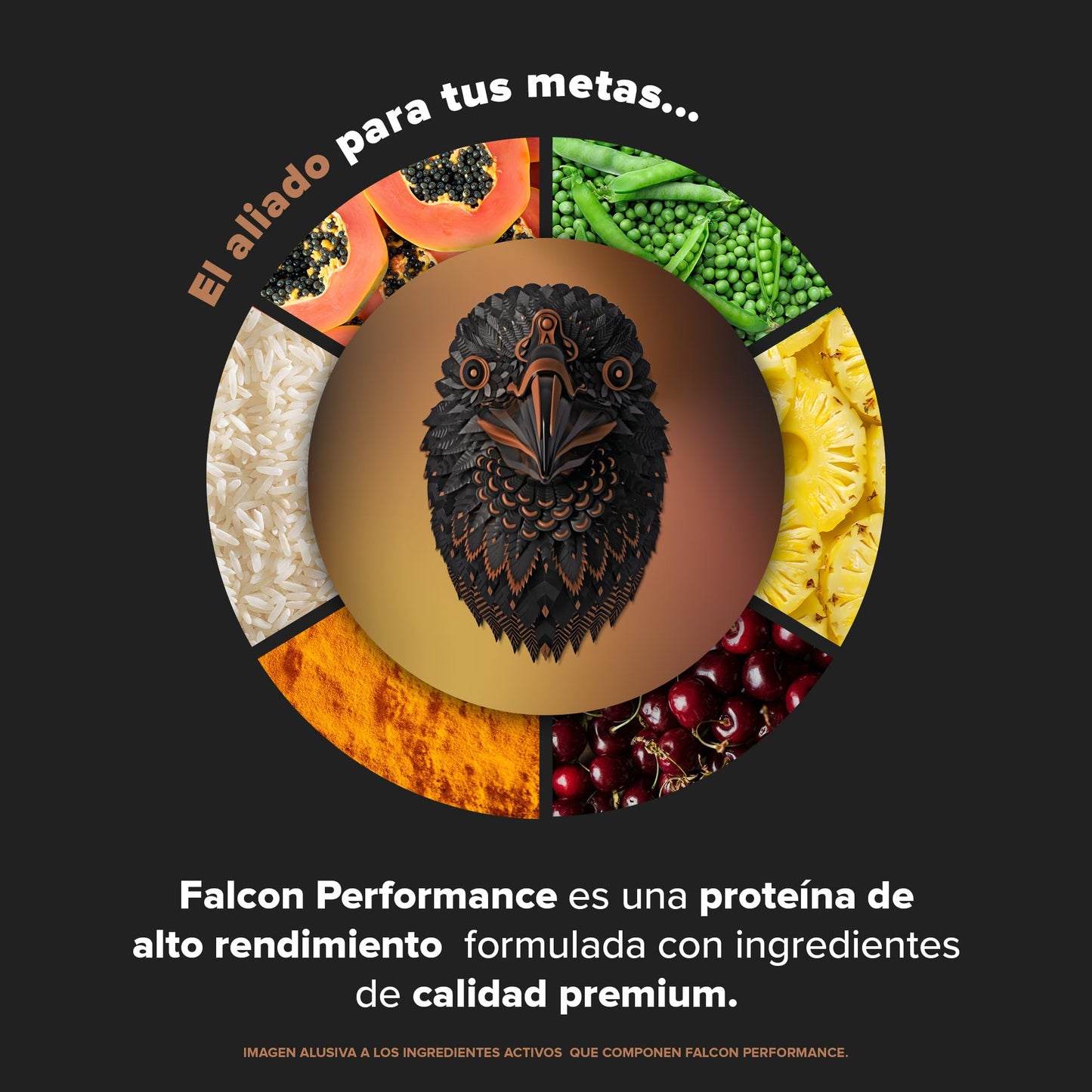 Birdman Falcon Performance Proteina Premium Alto Rendimiento En Polvo, 30gr proteina y 3gr Creatina por porción, Sin Inflamacion, Sin Acne