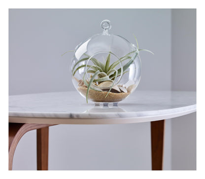 Scotch Topes de Goma Autoadhesivos, Transparentes, 1.2 cm (1/2 pulgada), 40 und