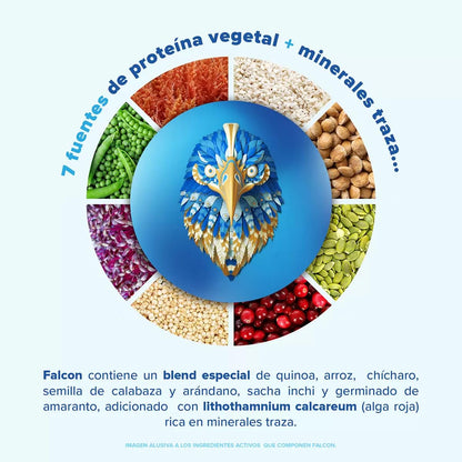 Birdman Proteína Vegana Orgánica Sabor Doble Chocolate 1.5 kg (50 servicios) / 22g proteina