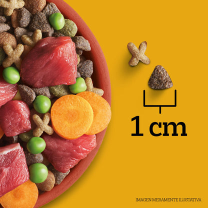 Pedigree - Croquetas para Perro 10 kg, on Res y Vegetales, Razas Pequeñas y Minis, con Proteína, Fibra y Antioxidantes