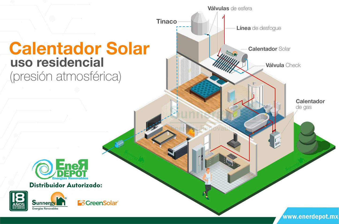 GreenSolar - Calentador Solar GreenSolar Acero Inoxidable 20 Tubos 240 Litros Baja Presion