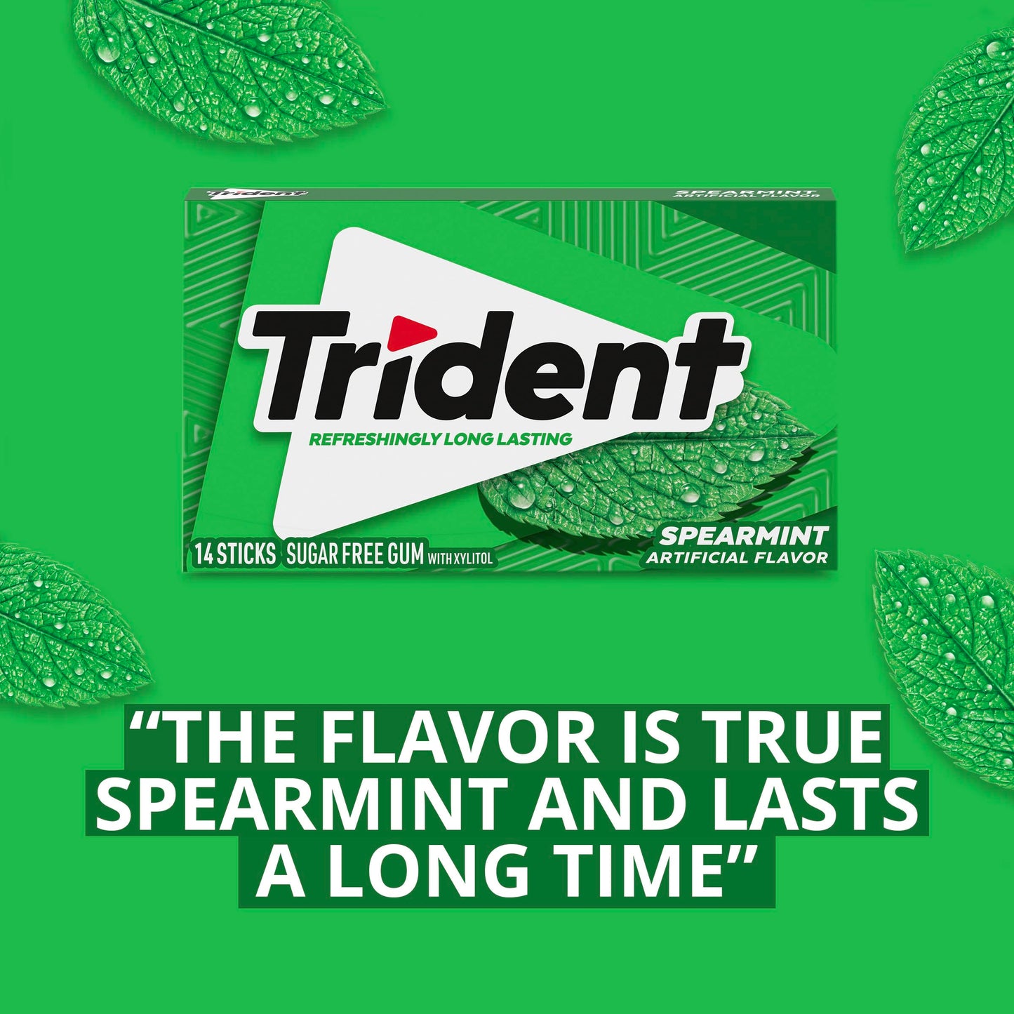 Trident Spearmint goma sin azúcar, 12 paquetes de 14 piezas (168 piezas en total)