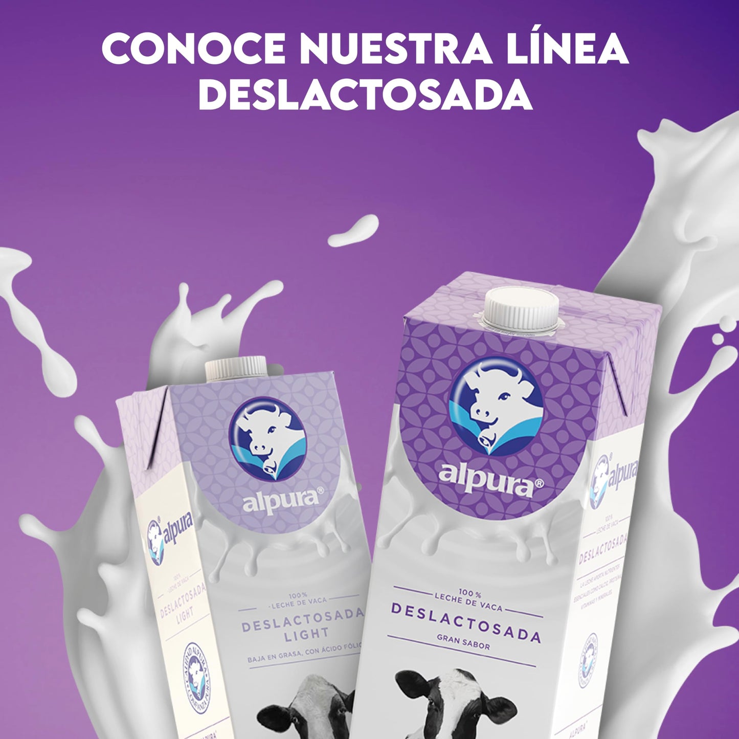 Alpura Leche Deslactosada 100% de vaca Ultrapasteurizada en Paquete de 6 piezas de 1.5 Litros cada una, Ligera, de fácil digestión y con un delicioso sabor