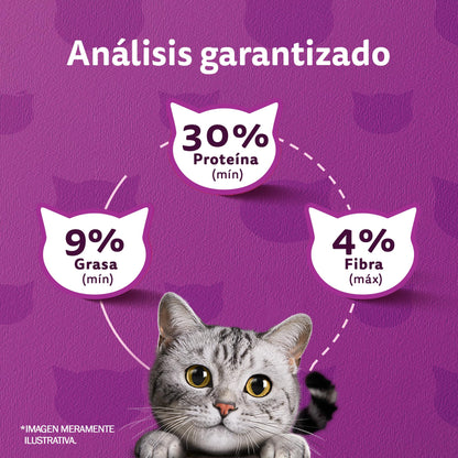 Whiskas Whiskas alimento para Gatos Adultos Sabor Carne Receta Orginal 9Kg Violeta
