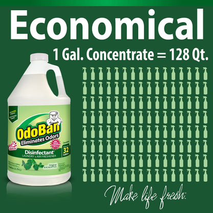OdoBan Disinfectant Concentrate and Odor Eliminator, 2 Gallons, Original Eucalyptus Scent