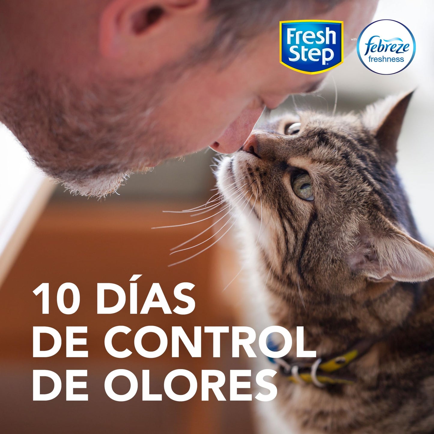 Fresh Step Extreme Scented Litter on el Poder de Febreze. Arena aglutinante para Gatos, Aroma Mountain Spring, 42 Libras (19 kg)