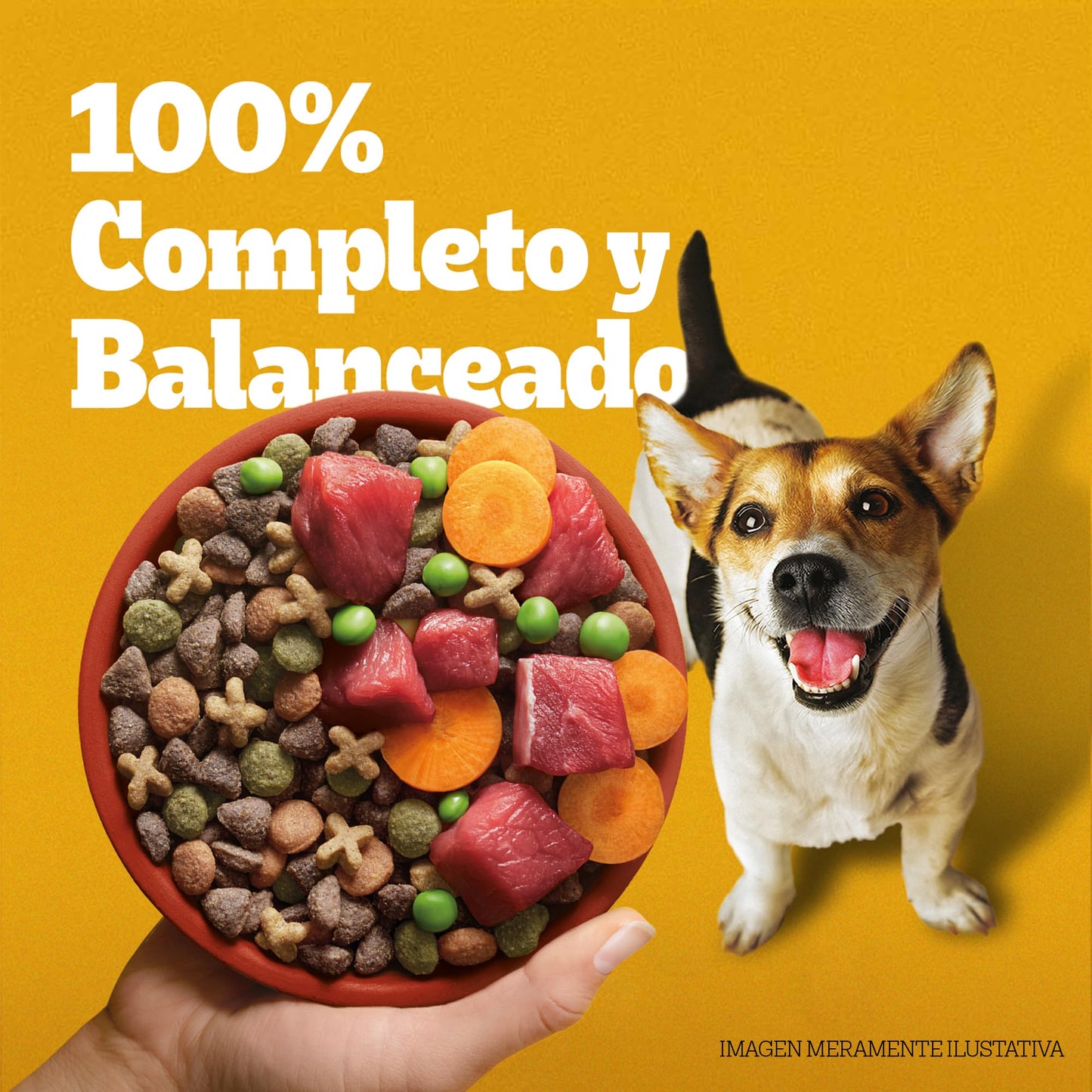Pedigree - Croquetas para Perro 10 kg, on Res y Vegetales, Razas Pequeñas y Minis, con Proteína, Fibra y Antioxidantes