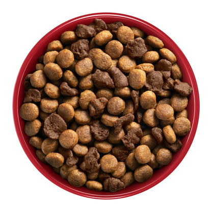 One Dry Perro - One Adulto Mediano y Grande Carne 12kg