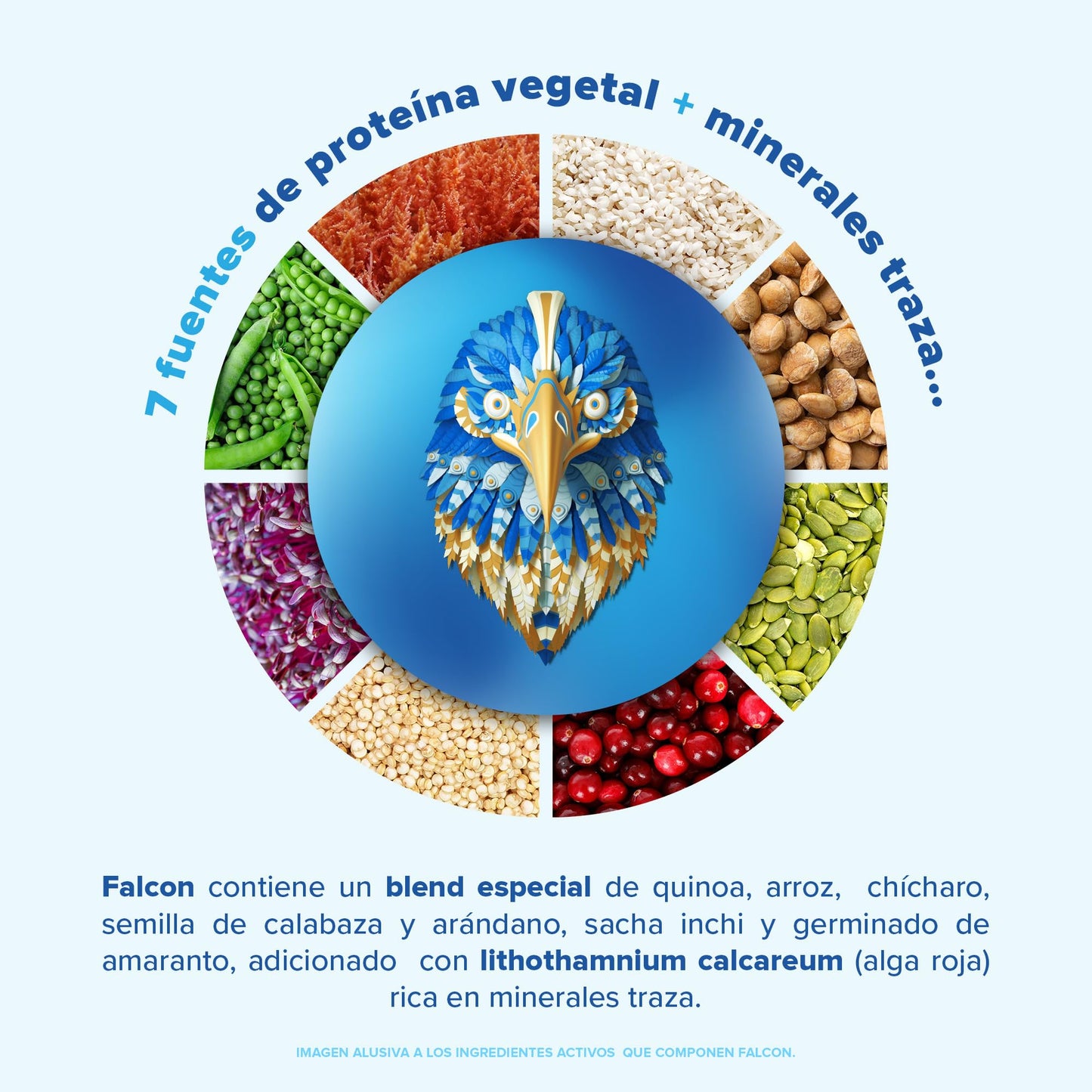 Birdman Falcon Protein