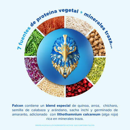 Birdman Falcon Protein