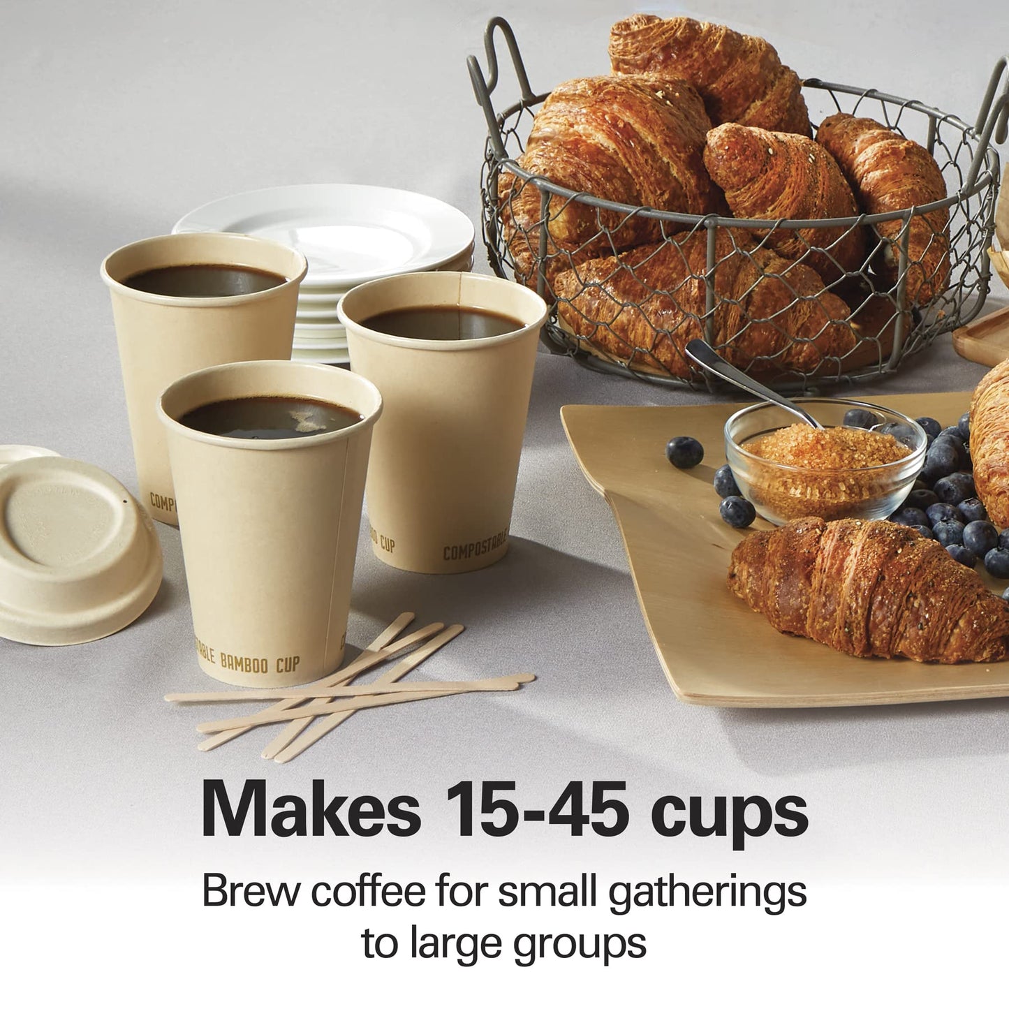 Hamilton Beach - Hamilton Beach 40519 - Urna de café (45 tazas, acero inoxidable)